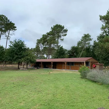 Feriehus Maisonnette Landaise *